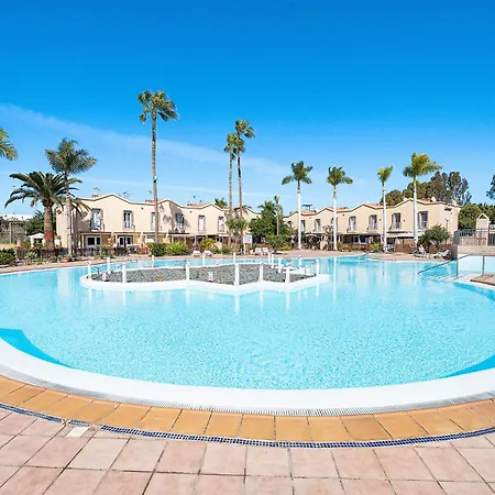 Oasis 1404